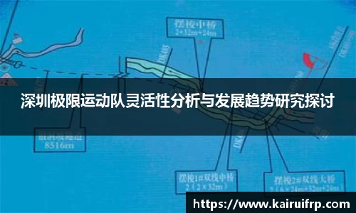 深圳极限运动队灵活性分析与发展趋势研究探讨
